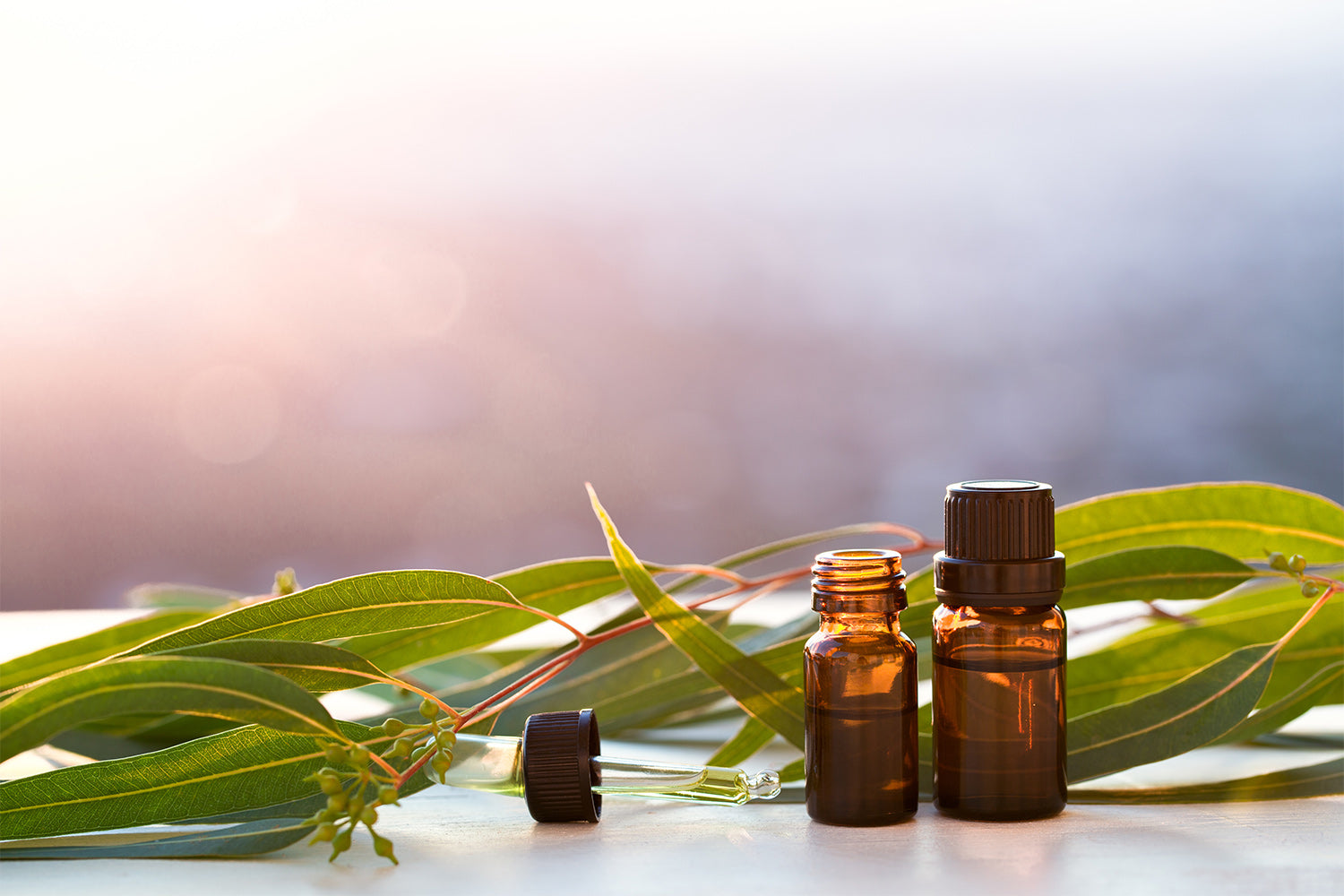 7 Benefits of Eucalyptus Oil for Skin Care
